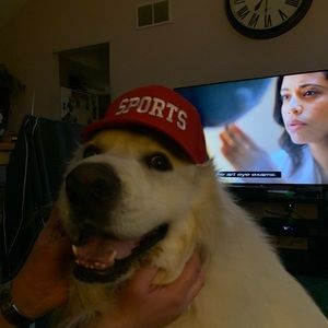 Meet your Posher, Elliott